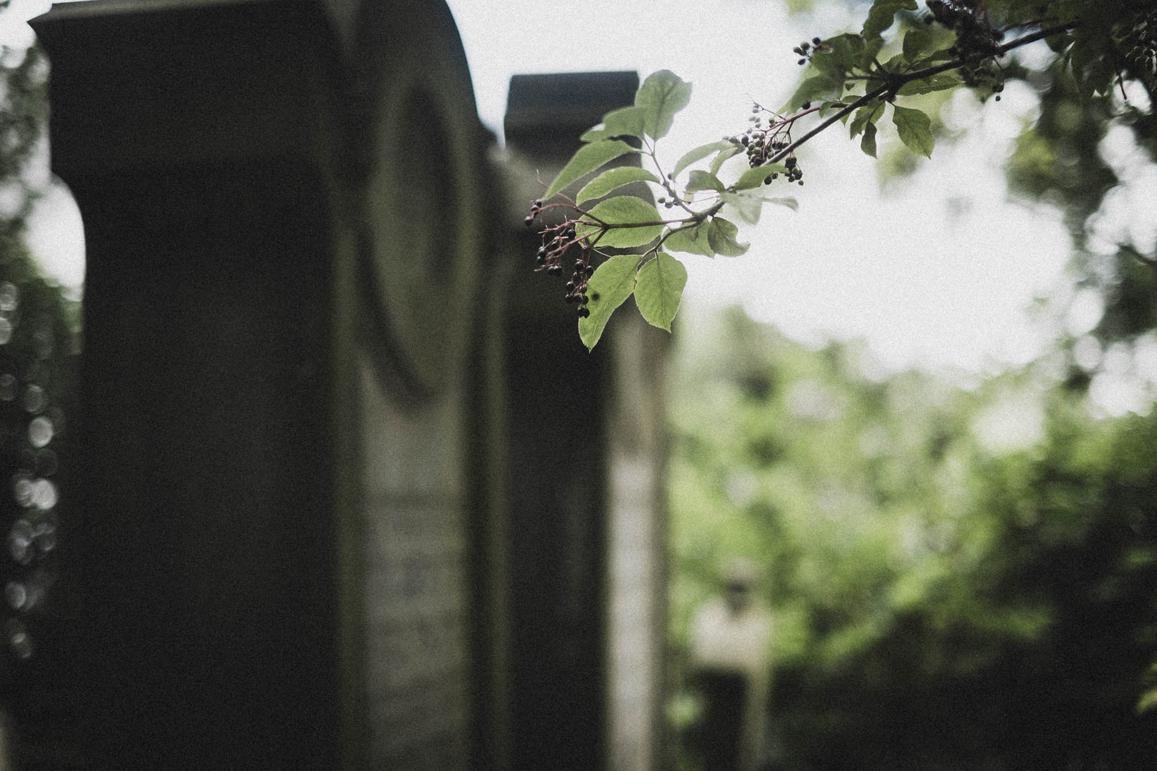 Rinteln, Jüdischer Friehof